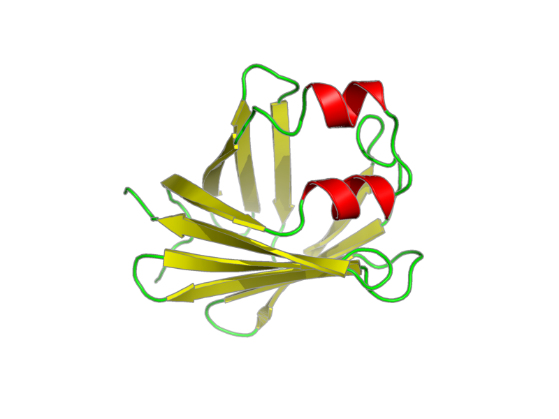 Ribbon image for 1mx7
