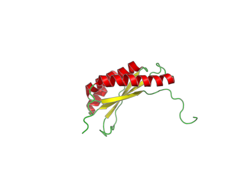 Ribbon image for 1nxi