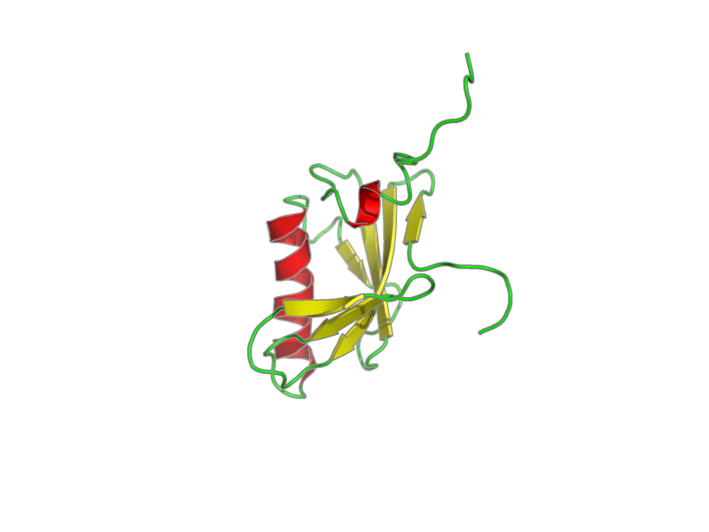 Ribbon image for 1n91