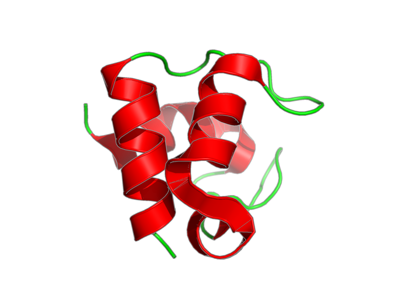 Ribbon image for 1n9c