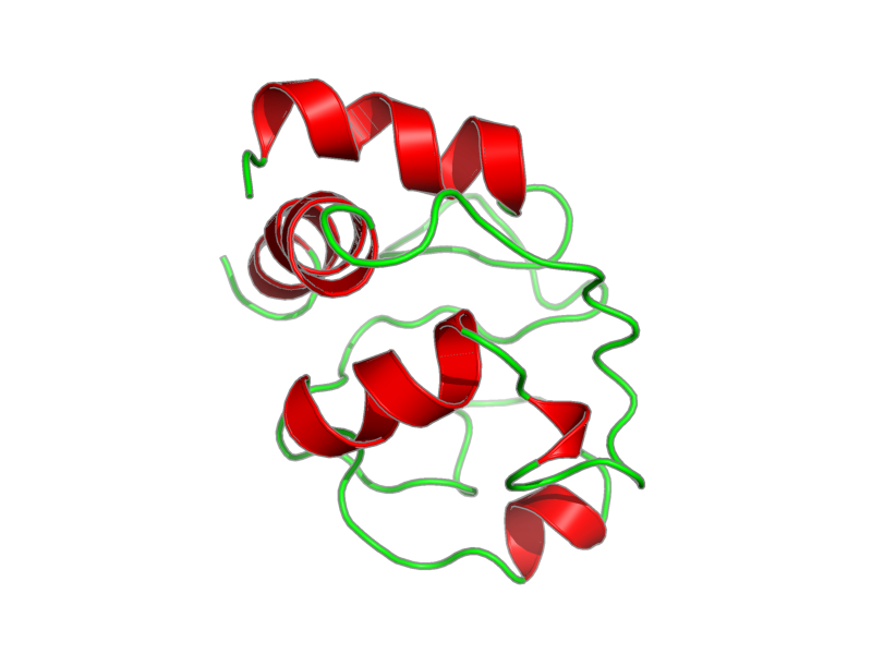 Ribbon image for 1akk