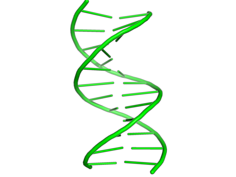 Ribbon image for 1naj