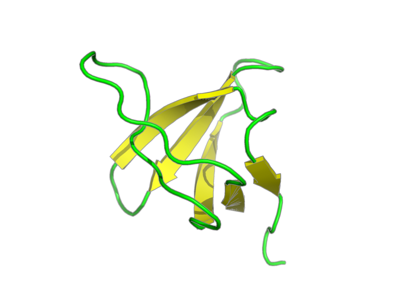 Ribbon image for 1k76