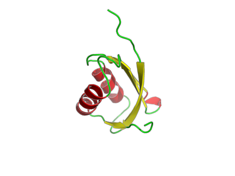 Ribbon image for 1oq6