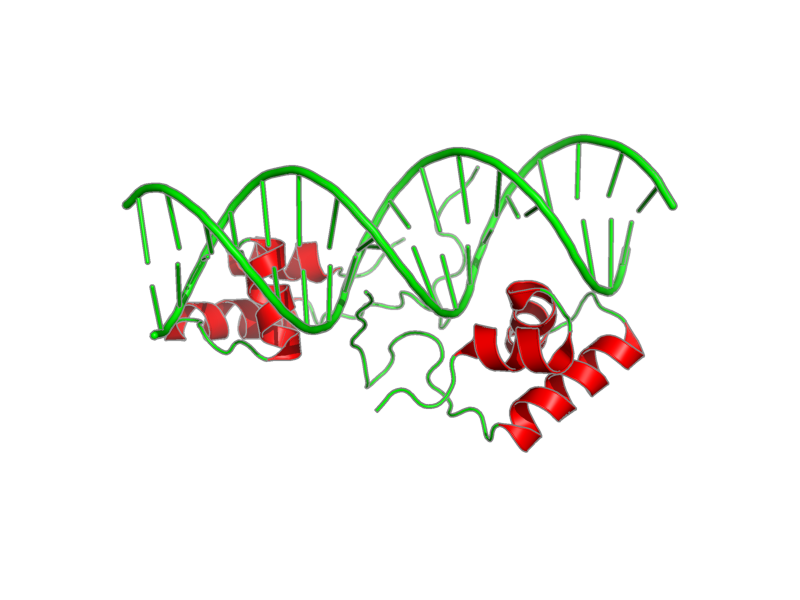 Ribbon image for 1osl
