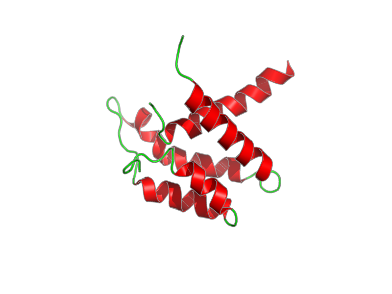 Ribbon image for 1pd7