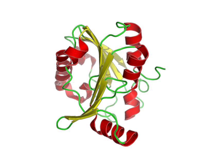Ribbon image for 1pjz