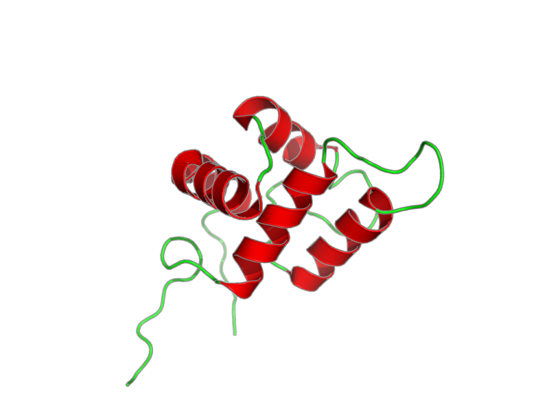 Ribbon image for 1uhu