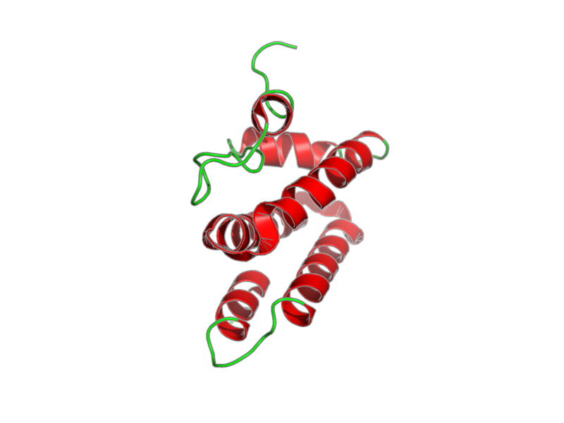 Ribbon image for 1q2z