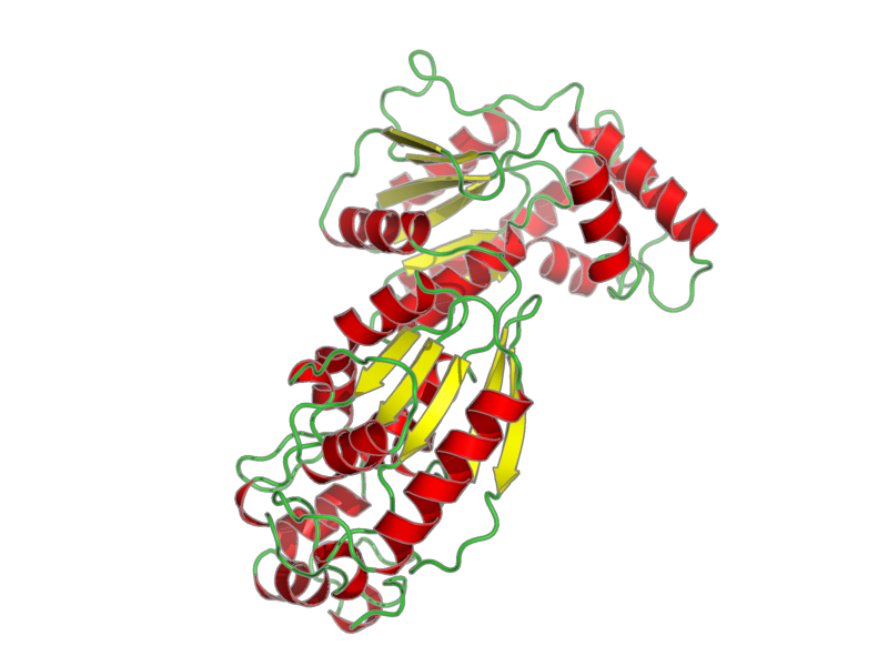 Ribbon image for 1bif
