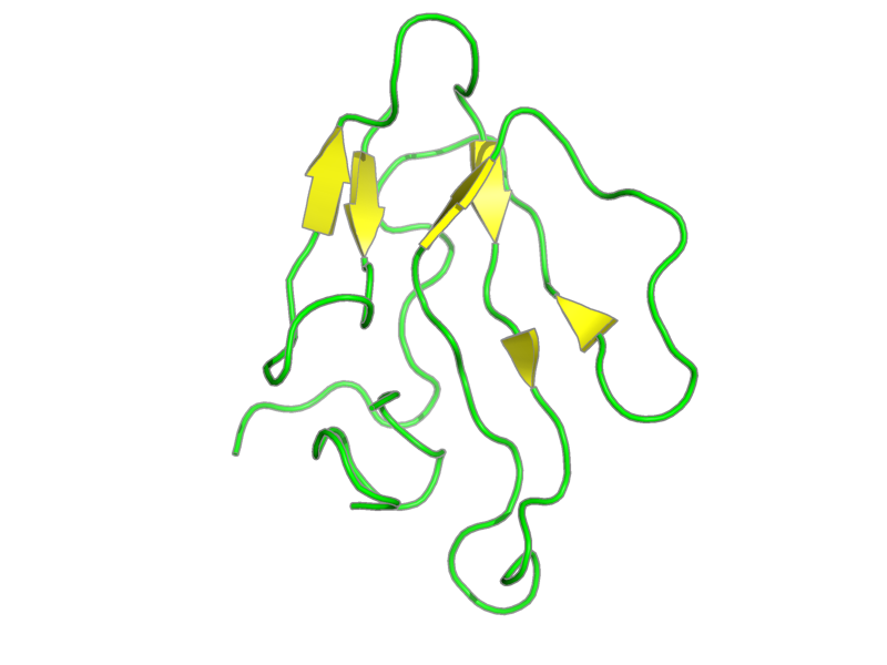 Ribbon image for 1rgj