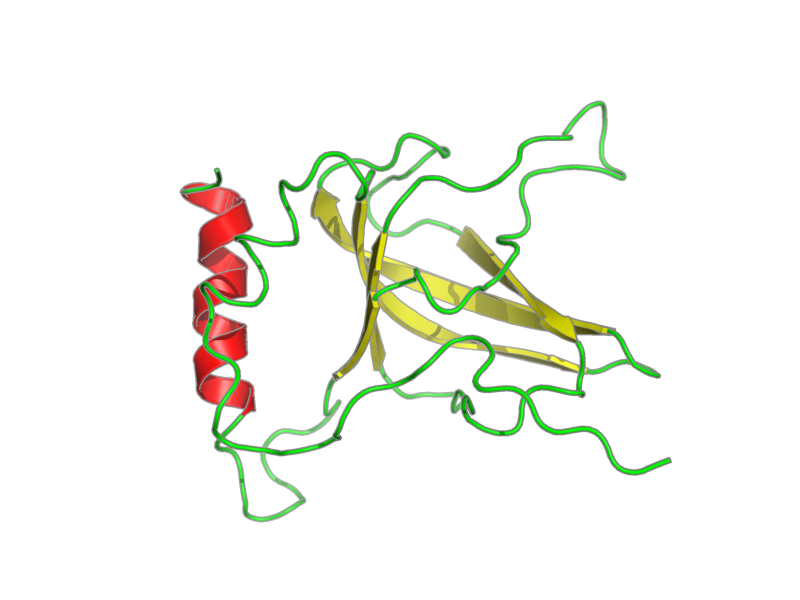 Ribbon image for 1xwe