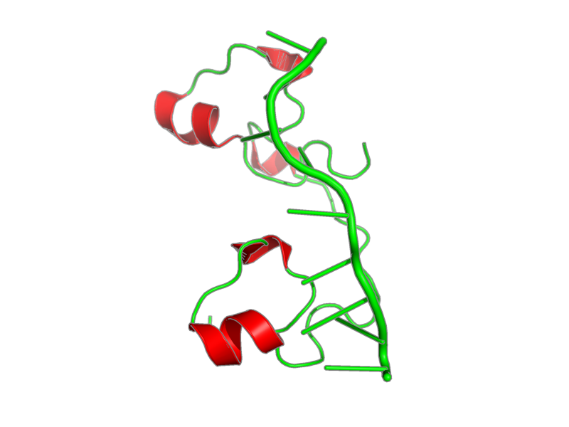 Ribbon image for 1rgo