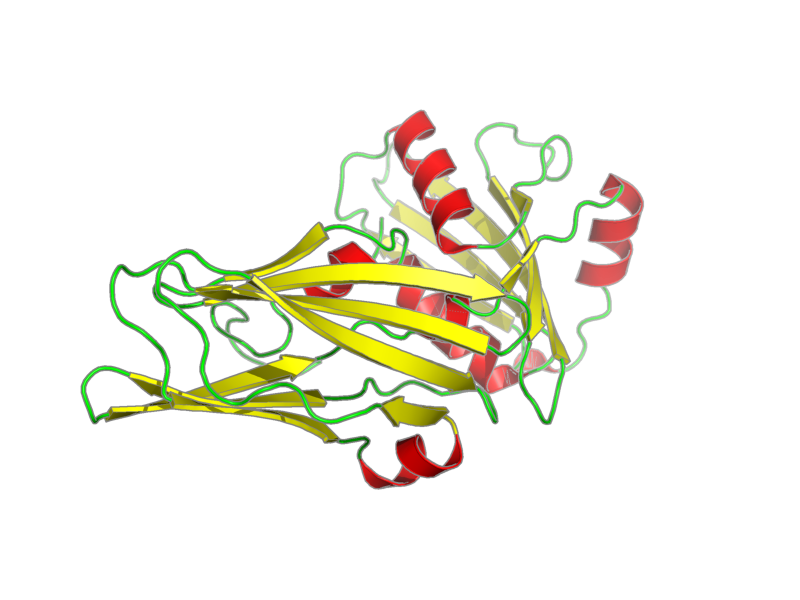 Ribbon image for 1qts