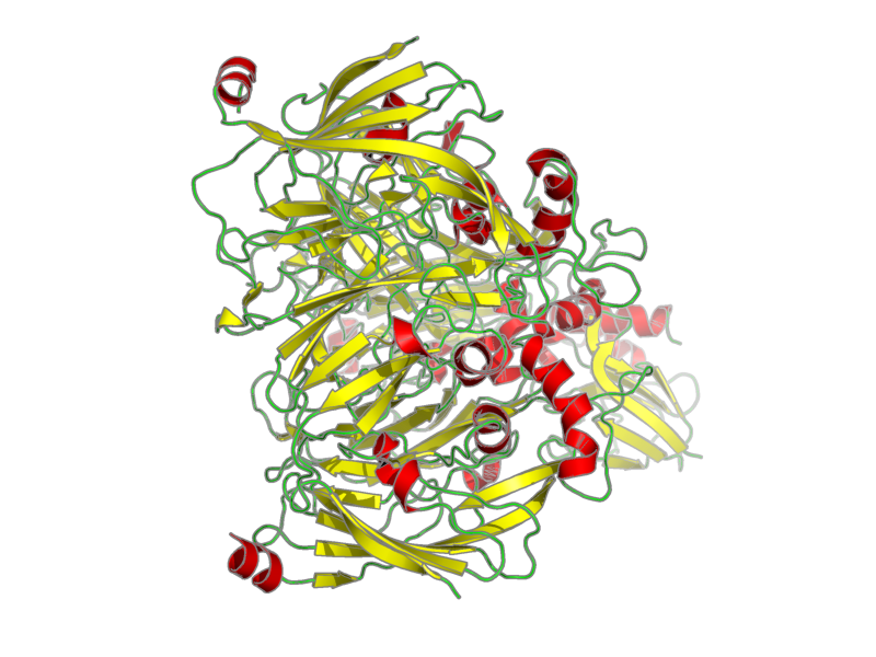 Ribbon image for 2p80