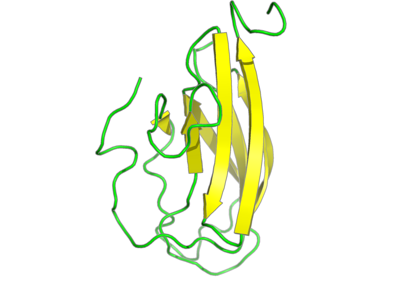 Ribbon image for 1s6n