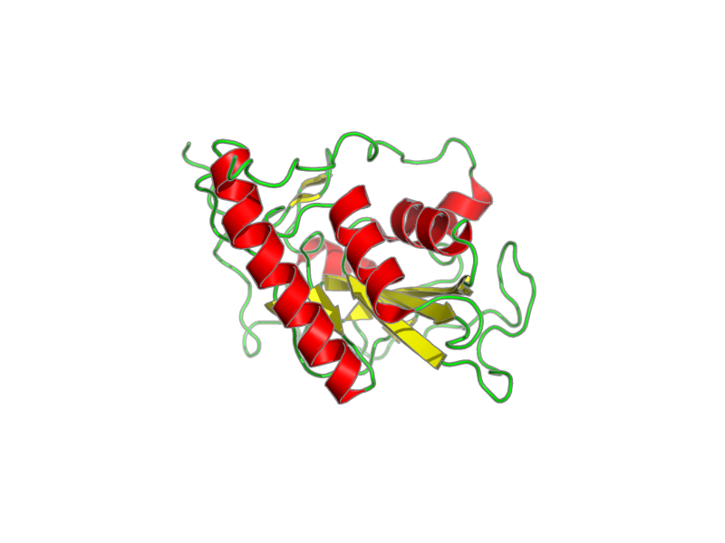 Ribbon image for 2gt3