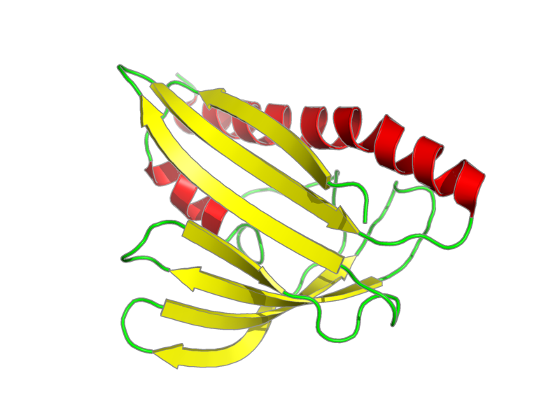 Ribbon image for 1t17