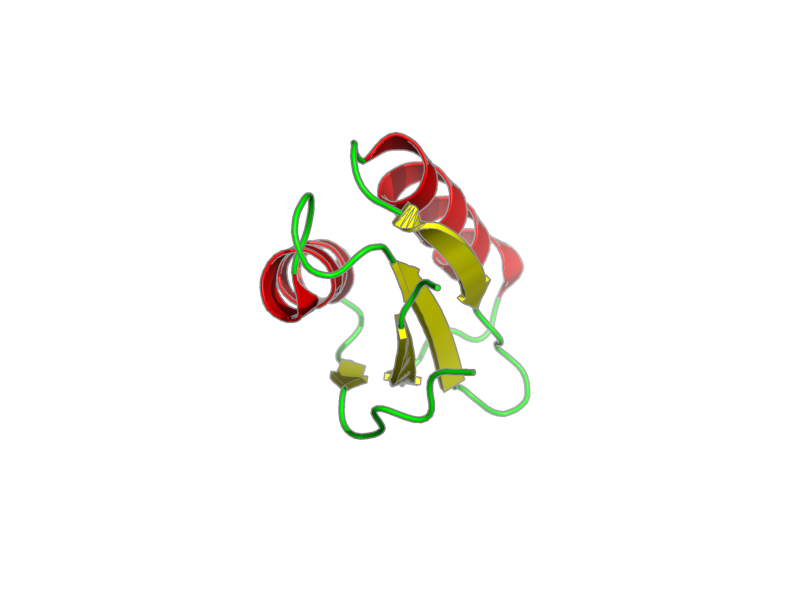 Ribbon image for 1s6u