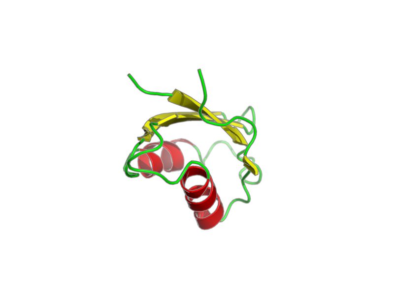 Ribbon image for 1s6o