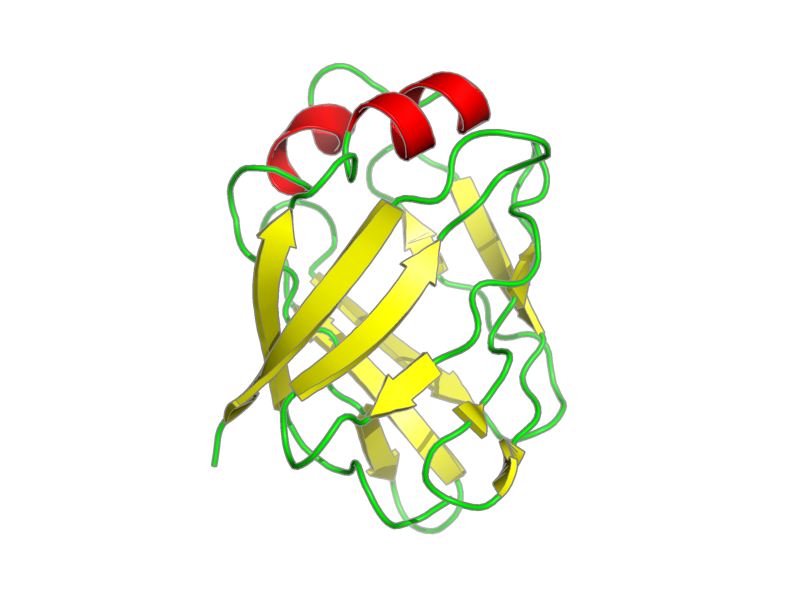 Ribbon image for 2poa