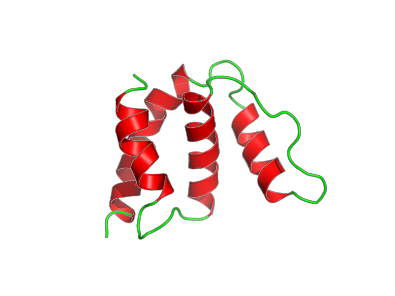Ribbon image for 1st7