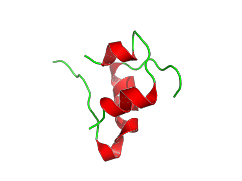 Ribbon image for 1t1p