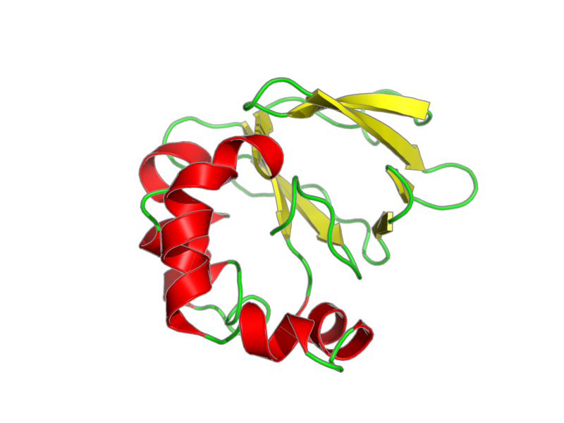 Ribbon image for 1w7d