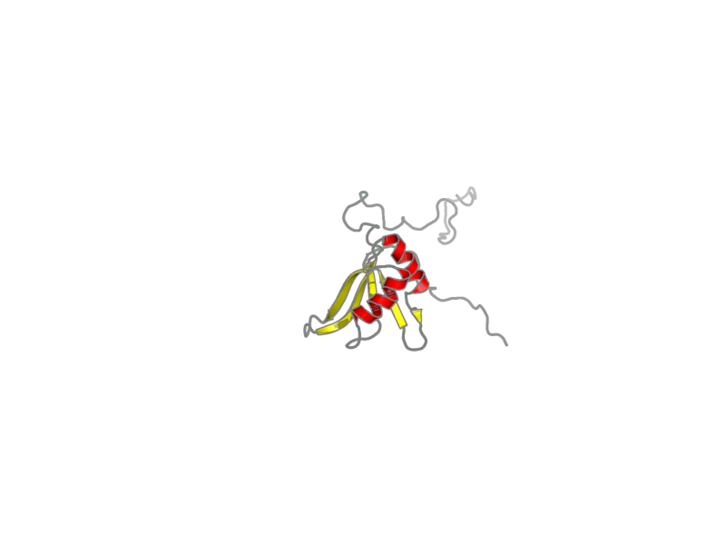 Ribbon image for 1u6f