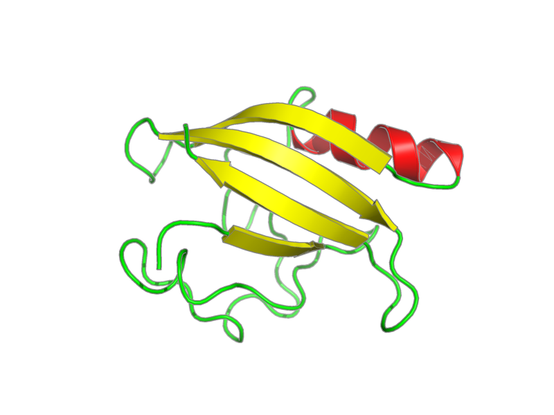 Ribbon image for 1xfn