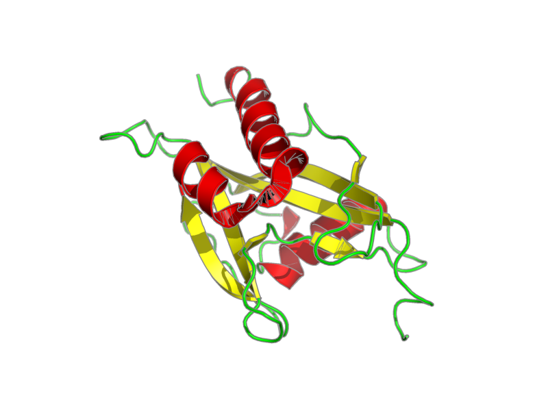 Ribbon image for 1xsa