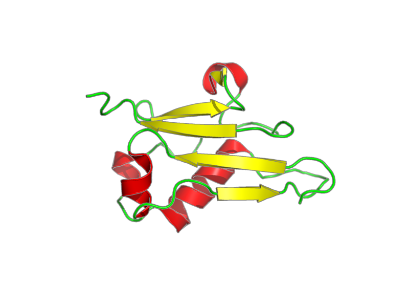Ribbon image for 1xo3