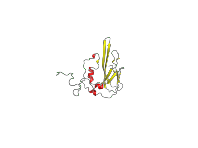 Ribbon image for 1xpn