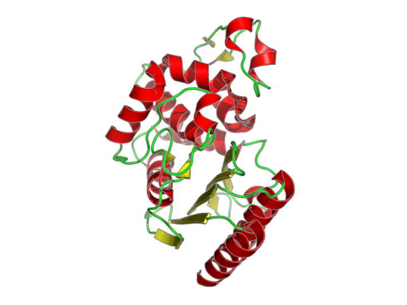 Ribbon image for 1erm