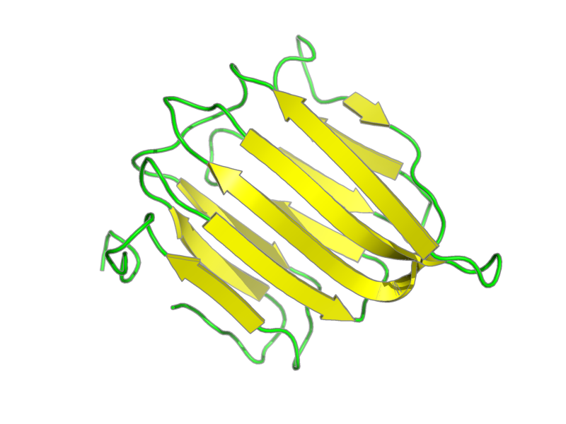Ribbon image for 2bvb