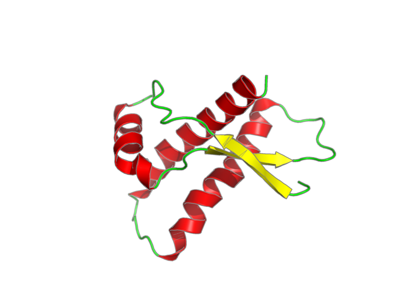 Ribbon image for 1xu0