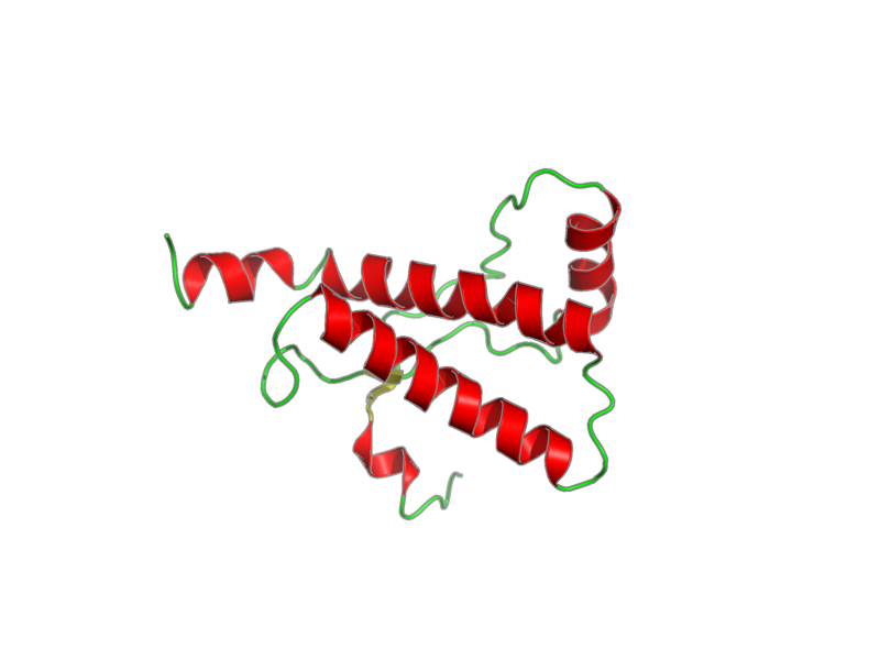 Ribbon image for 1y2s