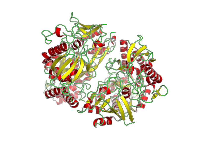 Ribbon image for 1uiv