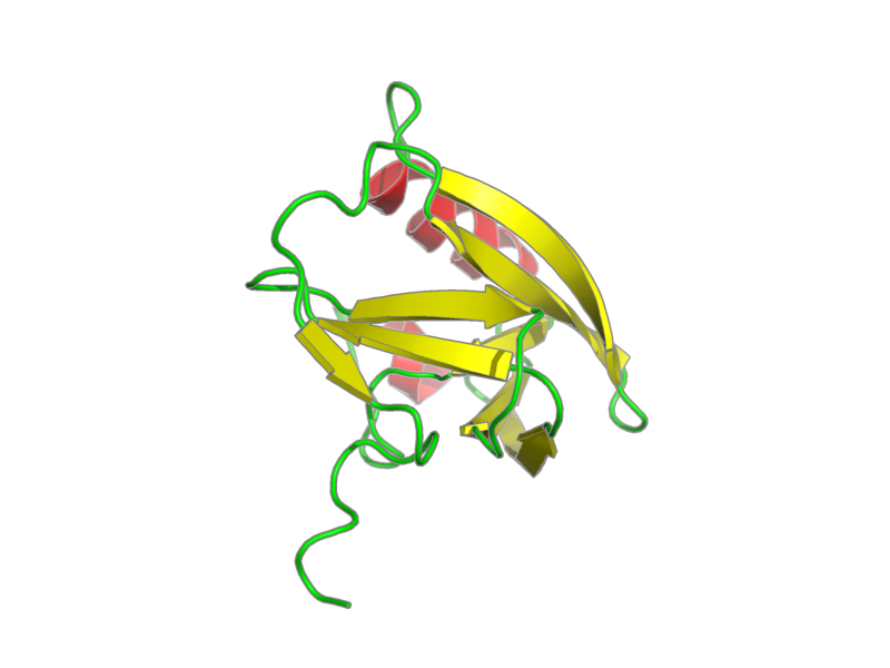 Ribbon image for 1xhs