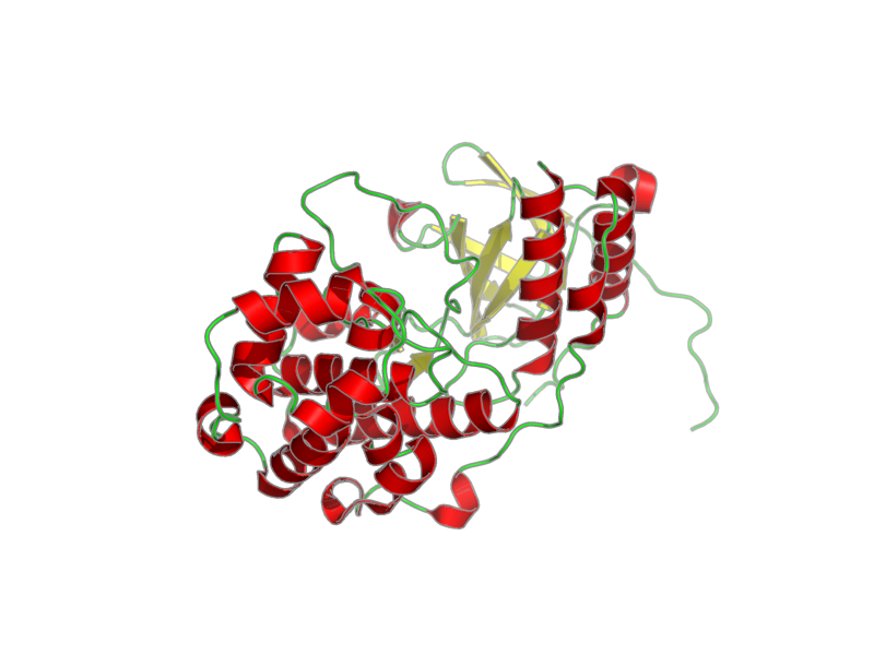 Ribbon image for 2lgc