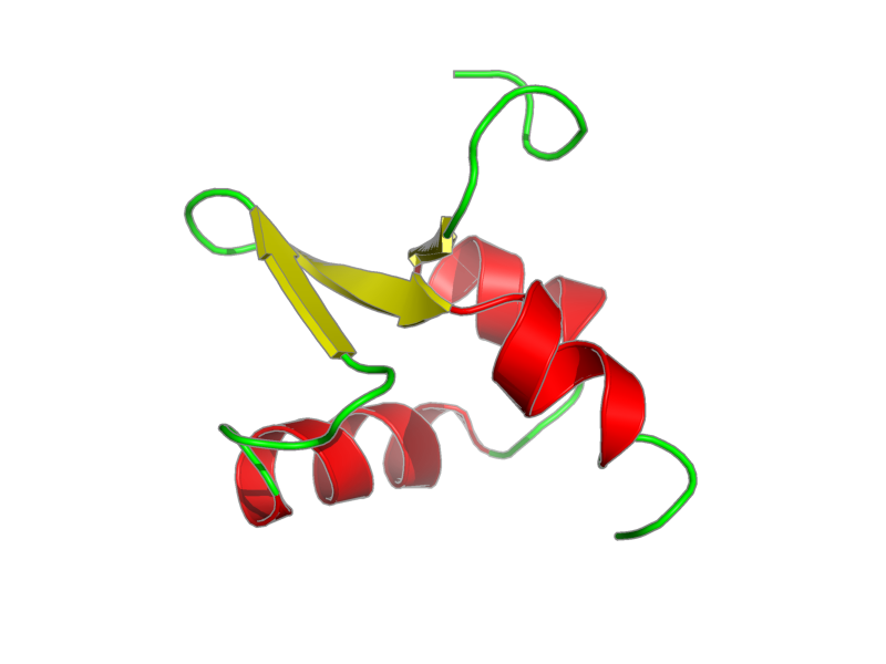 Ribbon image for 1y6u