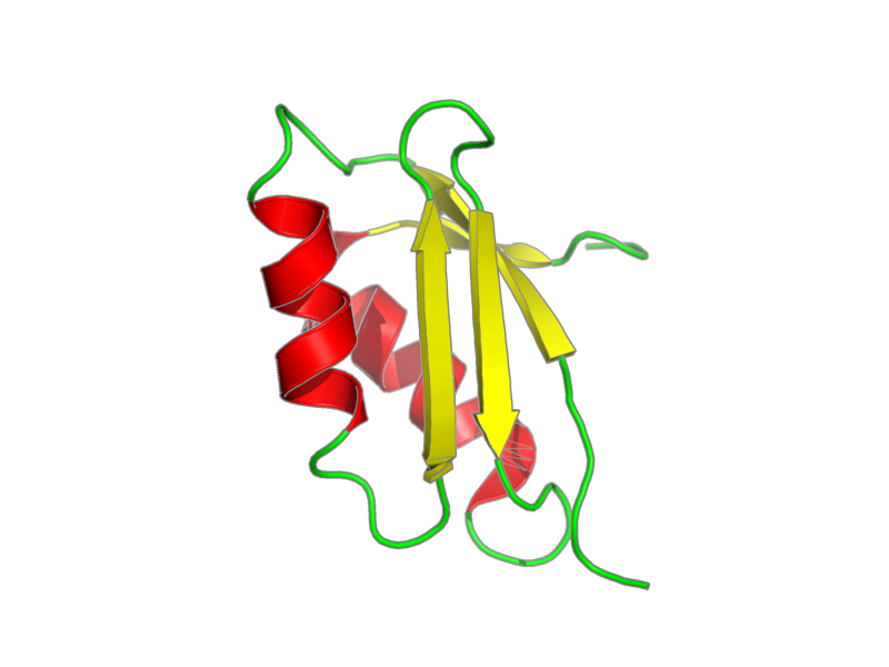 Ribbon image for 1yjr
