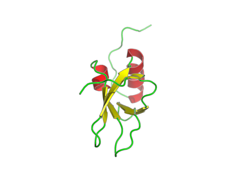 Ribbon image for 1yws