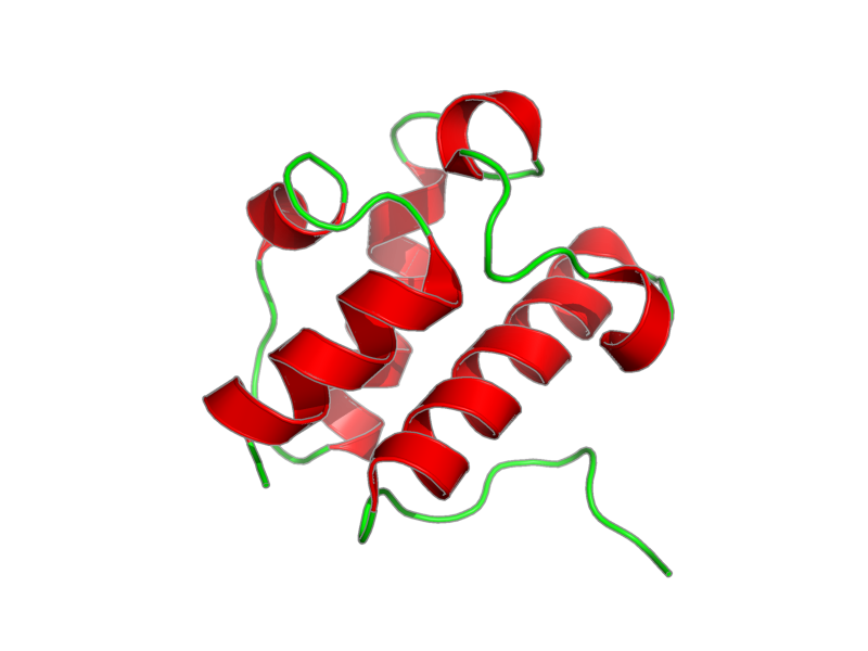 Ribbon image for 2afd