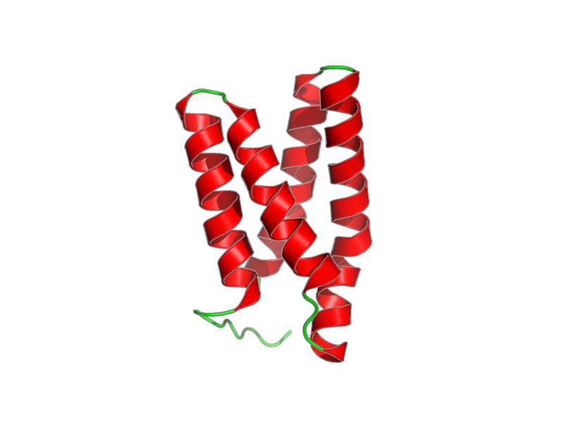 Ribbon image for 2npu