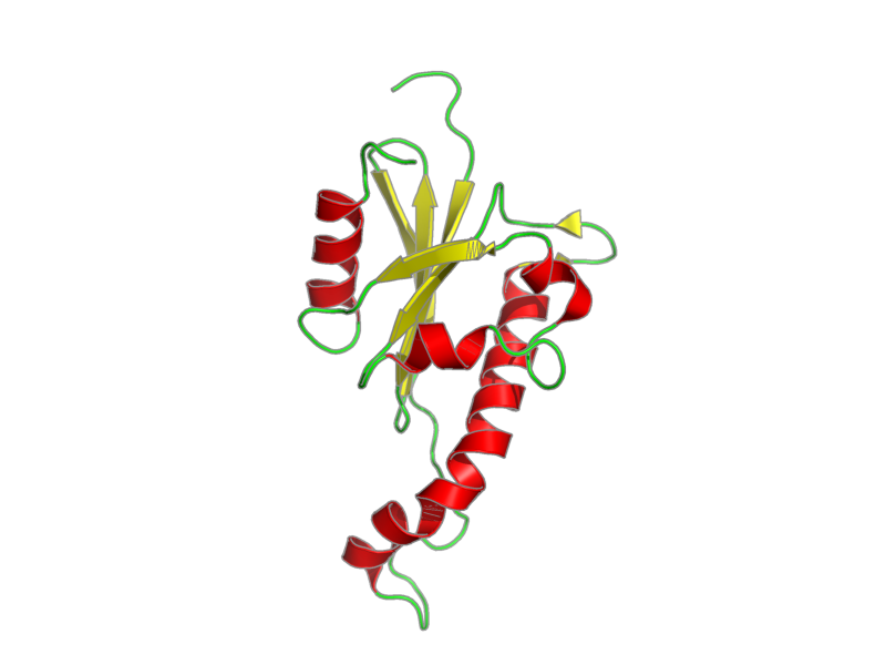 Ribbon image for 2hst