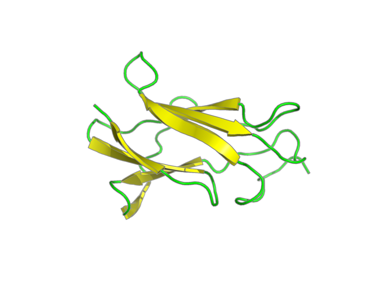 Ribbon image for 2gg1