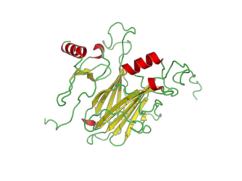 Ribbon image for 2ffk