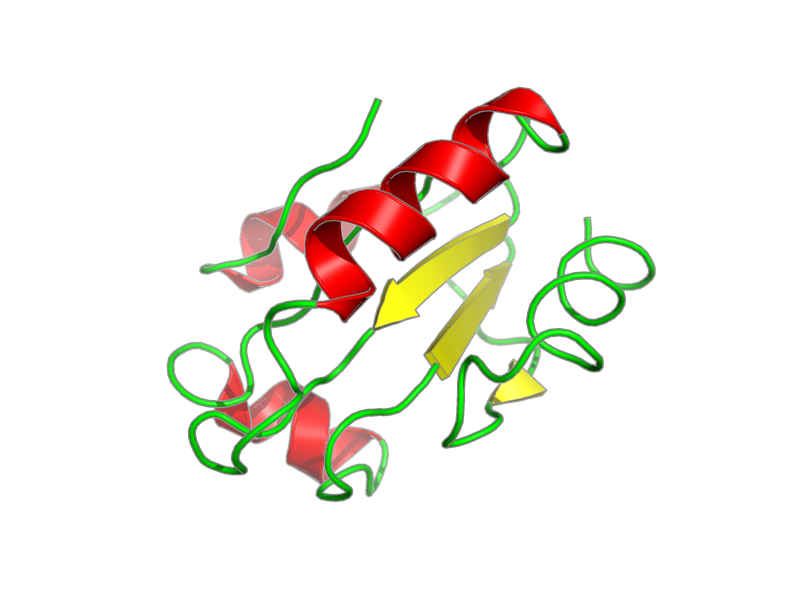 Ribbon image for 2i9h