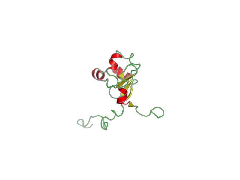 Ribbon image for 2i96